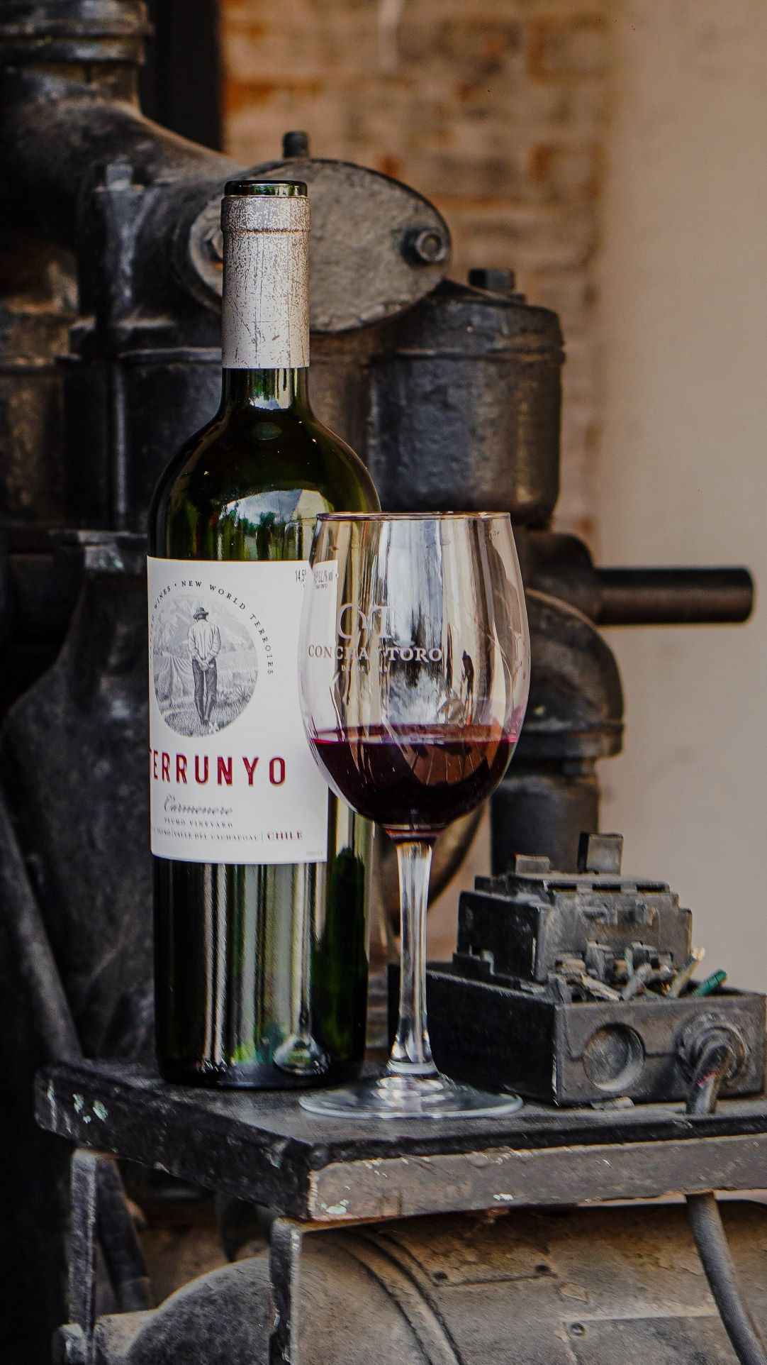 concha y toro marques casa concha vinicola tour passeio chilenjoy agencia turismo brasileiros chile santiago
